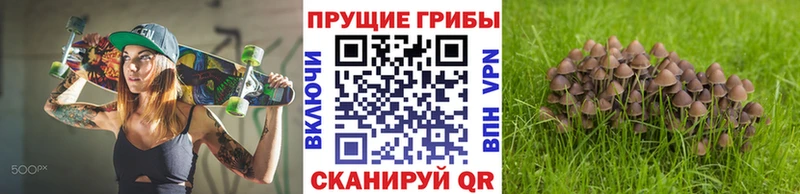 закладки  Усолье  Псилоцибиновые грибы мухоморы 